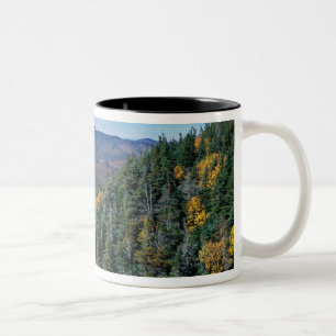 Taza Bicolor Bosque Nacional White Mountain, NH. La vista desde