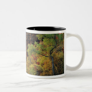 Taza Bicolor Bosque otoñal a lo largo del río Virgin cerca de