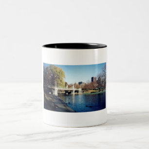 Taza Bicolor boston common