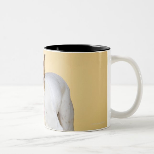 Taza Bicolor Botas que llevan del perro (Derecha)