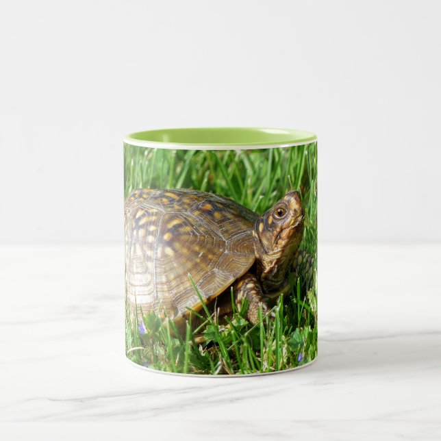 Taza Bicolor Box Turtle (Centro)