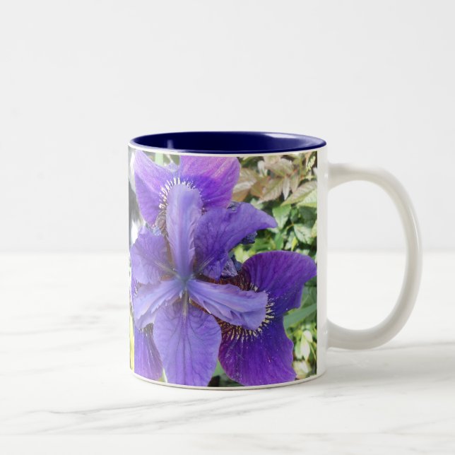 Taza Bicolor Brandeis (Derecha)