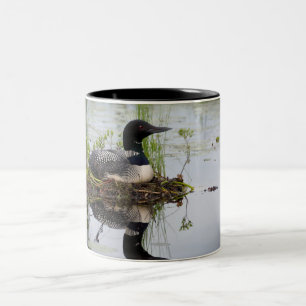 Taza Bicolor Bribón en jerarquía