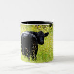 Taza Bicolor Buey de Angus en hierba amarilla alta<br><div class="desc">Un solo buey negro de Angus a parte del resto de la manada del ganado, de caras su parte trasera a la cámara y de vueltas su cabeza alrededor para una fotografía del retrato. La hierba alta en amarillos y verdes crea un fondo agradable contra el colorante oscuro de la...</div>