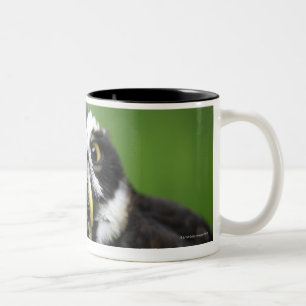 Taza Bicolor Búho con gafas (perspicillata de Pulsatrix)