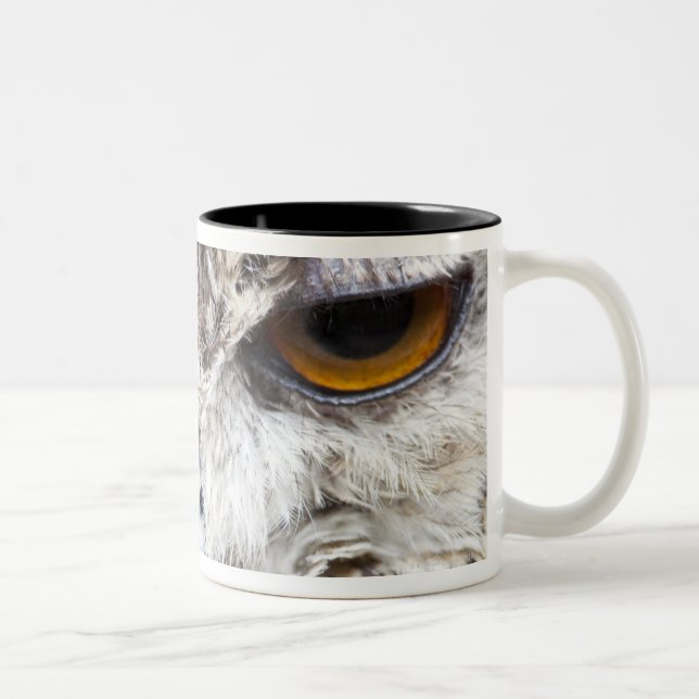 Taza Bicolor Búho de Bengala Eagle (Derecha)