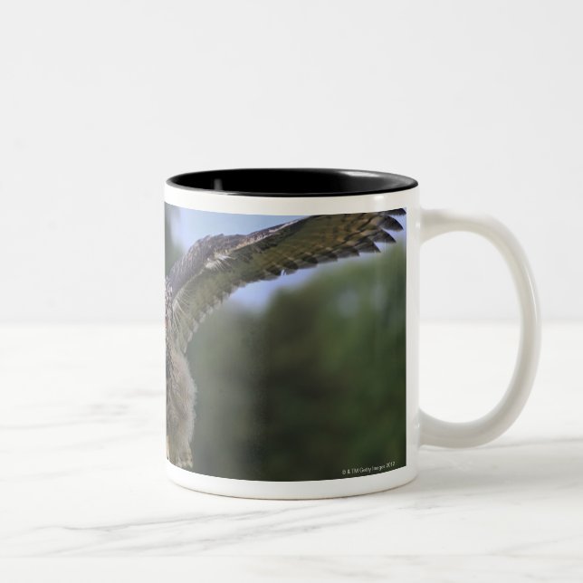 Taza Bicolor Búho de Eagle (bubón del bubón) (Derecha)