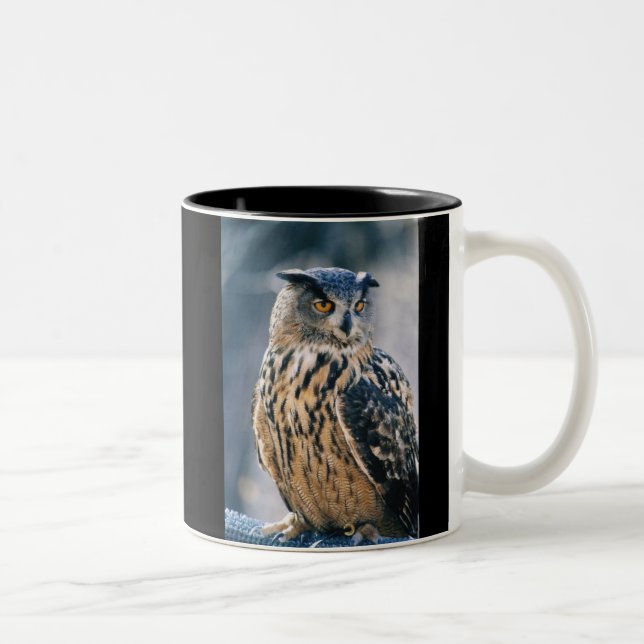 Taza Bicolor Búho de Eagle del eurasiático (Derecha)