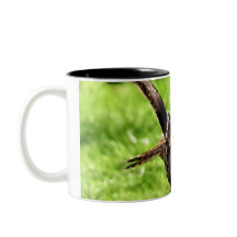 Búho de Eagle salvaje en vuelo completo