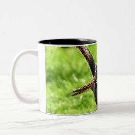 Taza Bicolor Búho de Eagle salvaje en vuelo completo