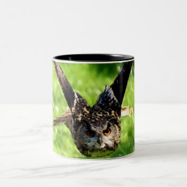 Taza Bicolor Búho de Eagle salvaje en vuelo completo