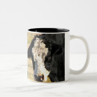 Taza Bicolor Bull Look