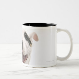Taza Bicolor Bull terrier alegre