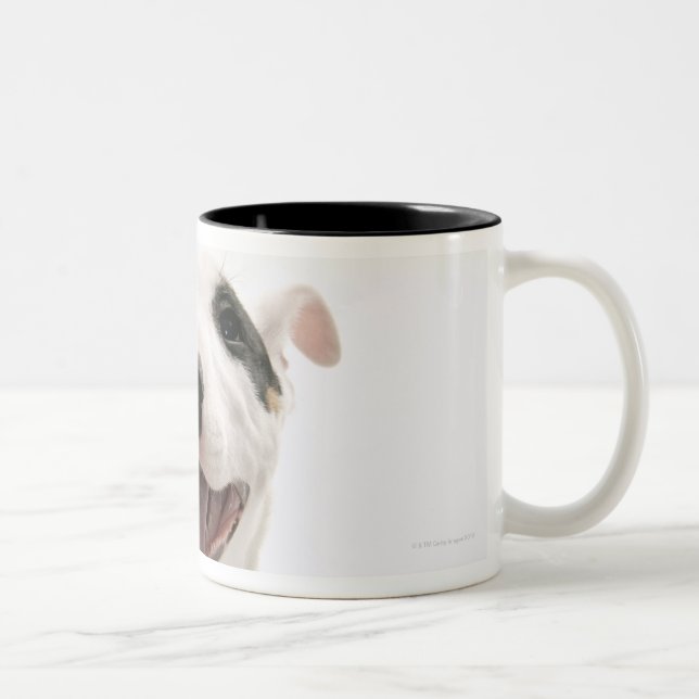 Taza Bicolor Bull terrier alegre (Derecha)