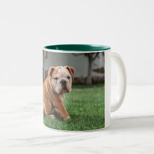 Taza Bicolor bulldog cachorro rojo y blanco