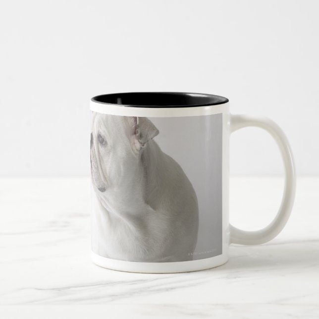 Taza Bicolor Bulldog inglés blanco (Derecha)