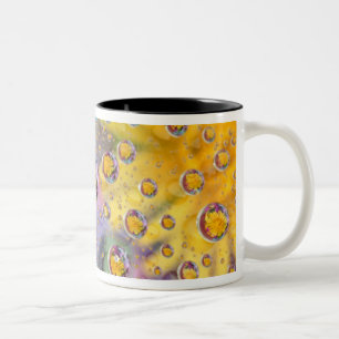 Taza Bicolor Burbujas abstractas con flores. Créditos: Nancy