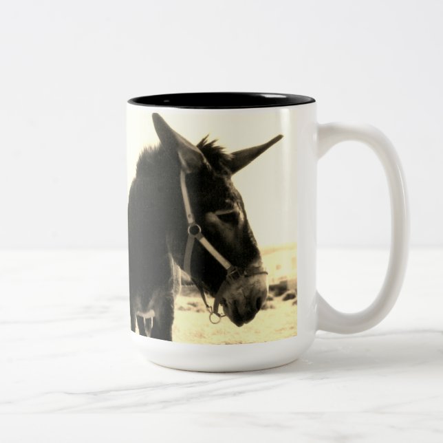 Taza Bicolor Burro (Derecha)