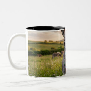 Taza Bicolor Burro Feliz Mañana