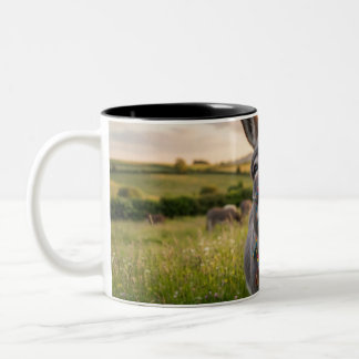 Taza Bicolor Burro Feliz Mañana