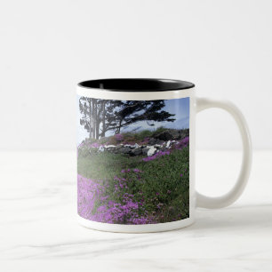 Taza Bicolor CA, Crescent City, faro de Battery Point con