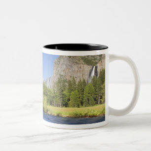 Taza Bicolor CA, Parque Nacional Yosemite, vista del valle con