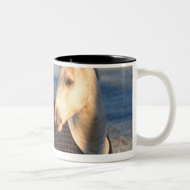 Taza Bicolor caballo (Derecha)