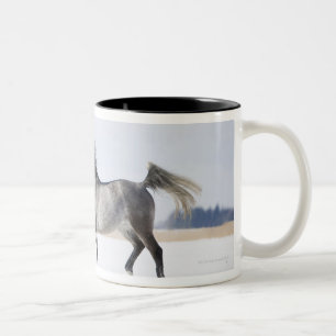 Taza Bicolor caballo blanco en invierno