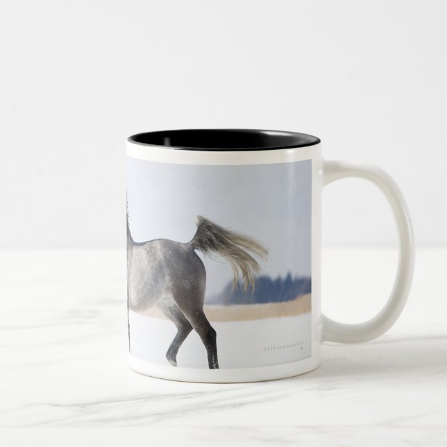 Taza Bicolor caballo blanco en invierno (Derecha)