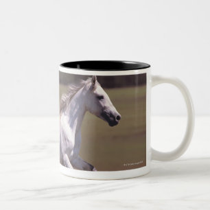 Taza Bicolor Caballo blanco que corre en campo