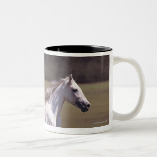 Taza Bicolor Caballo blanco que corre en campo