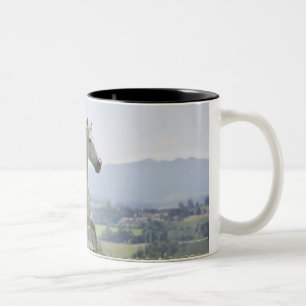 Taza Bicolor caballo blanco que corre en prado