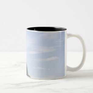 Taza Bicolor caballo blanco que salta en prado