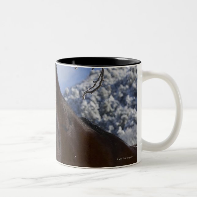 Taza Bicolor Caballo de Brown en invierno (Derecha)