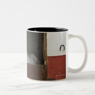Taza Bicolor Caballo gris en un establo