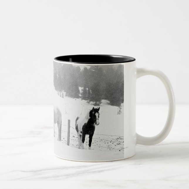 Taza Bicolor Caballos en rancho (Derecha)