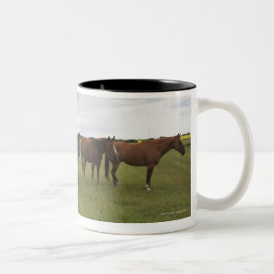 Taza Bicolor Caballos en un campo