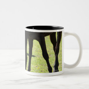 Taza Bicolor Caballos que pastan 2