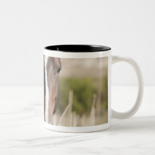 Taza Bicolor Caballos salvajes en Dakota del Sur