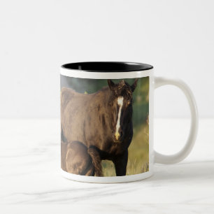 Taza Bicolor Caballos salvajes en el Parque Nacional Theodore R