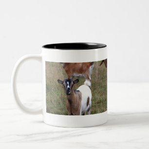 Taza Bicolor Cabra en un campo