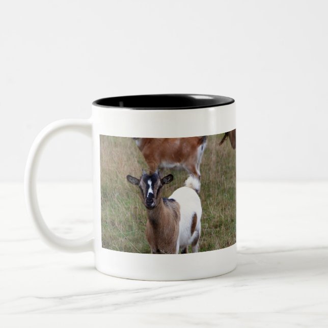 Taza Bicolor Cabra en un campo (Izquierda)