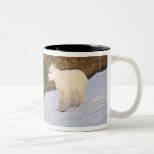Taza Bicolor cabras de montaña