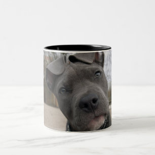 Taza Bicolor Cachorro