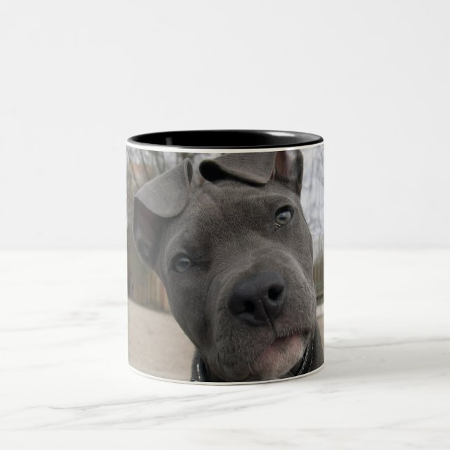 Taza Bicolor Cachorro (Centro)