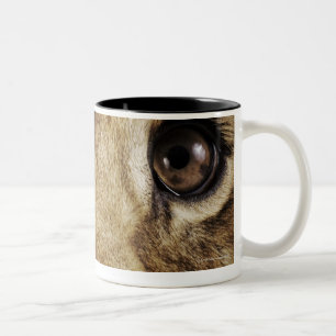 Taza Bicolor Cachorro de león (Panthera leo) que lame la nariz