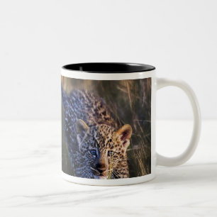 Taza Bicolor Cachorro de leopardo Panthera Pardus