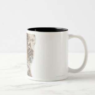 Taza Bicolor Cachorro de tigre de Sumatran