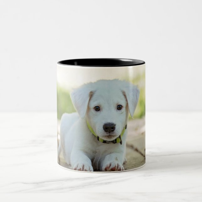 Taza Bicolor Cachorro dulce (Centro)