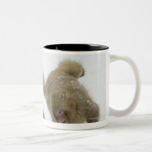 Taza Bicolor Cachorros japoneses del mono de la nieve que